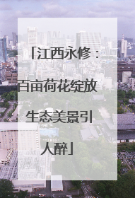 江西永修：百亩荷花绽放 生态美景引人醉
