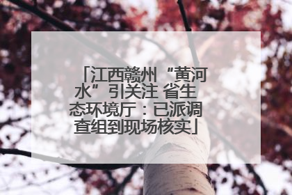 江西赣州“黄河水”引关注 省生态环境厅：已派调查组到现场核实