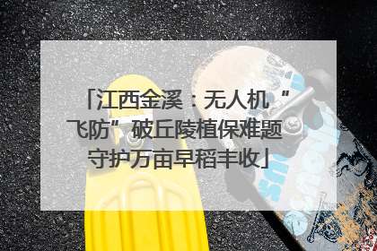 江西金溪：无人机“飞防”破丘陵植保难题 守护万亩早稻丰收