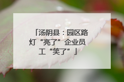 汤阴县：园区路灯“亮了”企业员工“笑了”