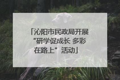 沁阳市民政局开展“研学促成长 多彩在路上”活动