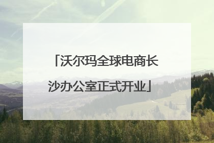 沃尔玛全球电商长沙办公室正式开业