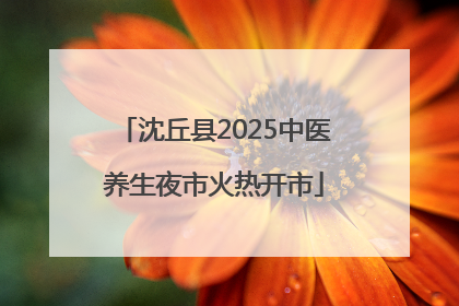 沈丘县2025中医养生夜市火热开市