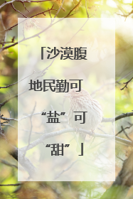 沙漠腹地民勤可“盐”可“甜”