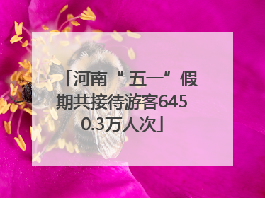 河南“ 五一”假期共接待游客6450.3万人次