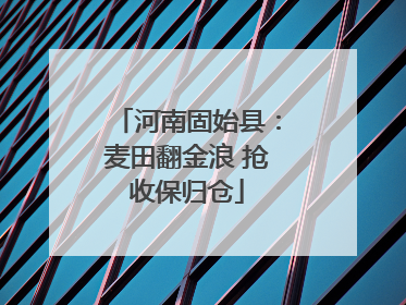 河南固始县：麦田翻金浪 抢收保归仓