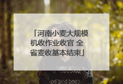 河南小麦大规模机收作业收官 全省麦收基本结束