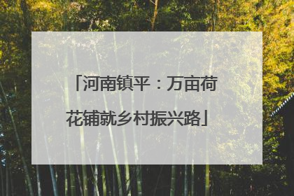 河南镇平：万亩荷花铺就乡村振兴路