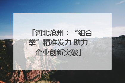 河北沧州：“组合拳”精准发力 助力企业创新突破