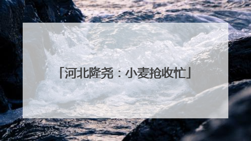 河北隆尧：小麦抢收忙