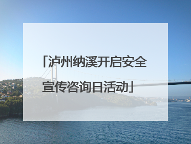 泸州纳溪开启安全宣传咨询日活动