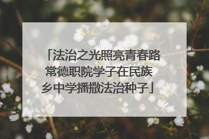 法治之光照亮青春路 常德职院学子在民族乡中学播撒法治种子