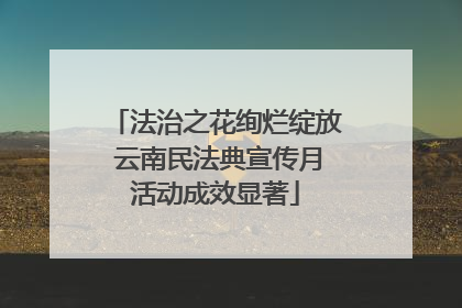 法治之花绚烂绽放 云南民法典宣传月活动成效显著