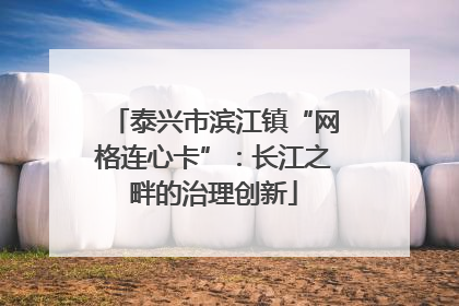 泰兴市滨江镇“网格连心卡”：长江之畔的治理创新