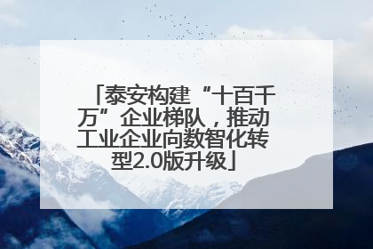 泰安构建“十百千万”企业梯队，推动工业企业向数智化转型2.0版升级