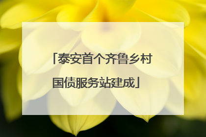 泰安首个齐鲁乡村国债服务站建成