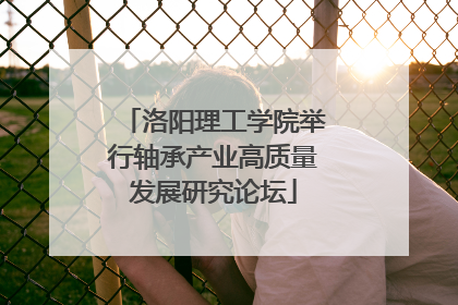 洛阳理工学院举行轴承产业高质量发展研究论坛