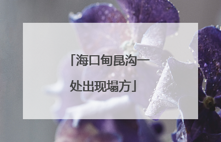 海口甸昆沟一处出现塌方