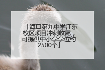 海口第九中学江东校区项目冲刺收尾，可提供中小学学位约2500个