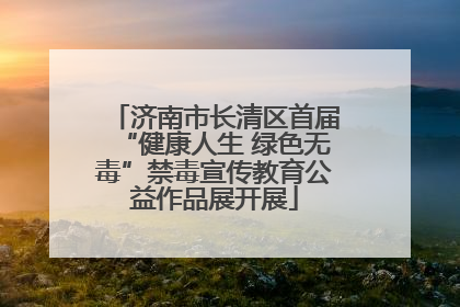 济南市长清区首届“健康人生 绿色无毒”禁毒宣传教育公益作品展开展