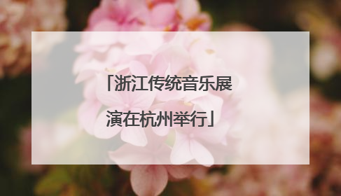 浙江传统音乐展演在杭州举行