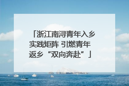 浙江南浔青年入乡实践矩阵 引燃青年返乡“双向奔赴”