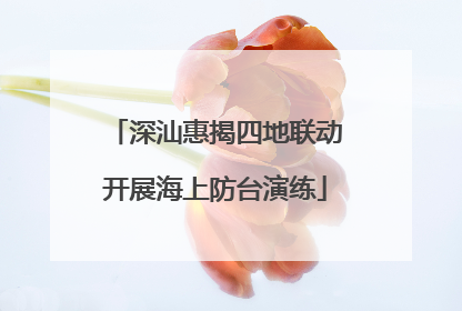 深汕惠揭四地联动开展海上防台演练