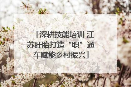 深耕技能培训 江苏盱眙打造“职”通车赋能乡村振兴