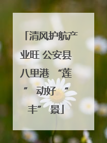 清风护航产业旺 公安县八里港 “莲” 动好 “丰” 景