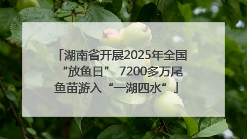 湖南省开展2025年全国“放鱼日” 7200多万尾鱼苗游入“一湖四水”