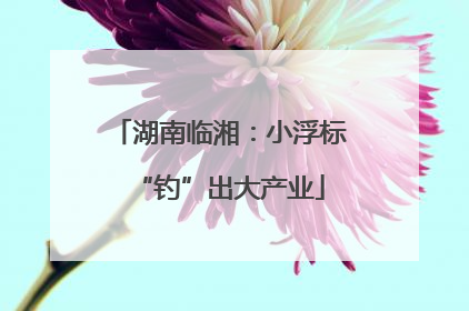 湖南临湘：小浮标“钓”出大产业