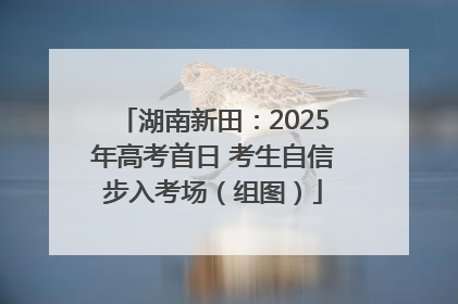 湖南新田：2025年高考首日 考生自信步入考场（组图）