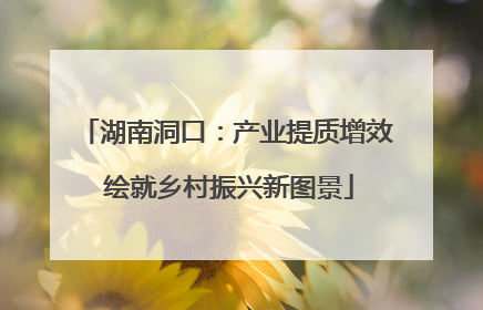 湖南洞口：产业提质增效 绘就乡村振兴新图景