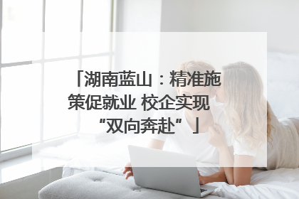 湖南蓝山：精准施策促就业 校企实现“双向奔赴”