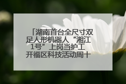 湖南首台全尺寸双足人形机器人“湘江1号”上岗当护工 开福区科技活动周十大科创项目签约