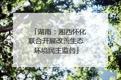 湖南：湘西怀化联合开展改善生态环境民主监督