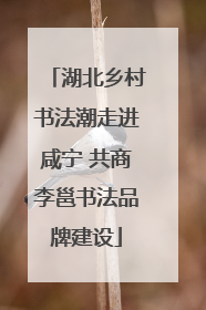 湖北乡村书法潮走进咸宁 共商李邕书法品牌建设