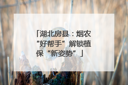 湖北房县：烟农“好帮手”解锁植保“新姿势”