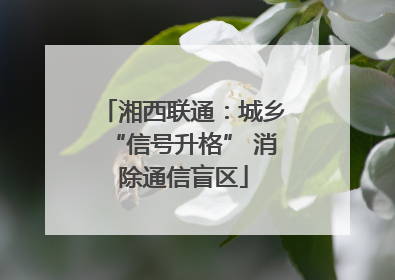 湘西联通：城乡“信号升格” 消除通信盲区