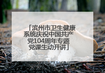 滨州市卫生健康系统庆祝中国共产党104周年专题党课生动开讲