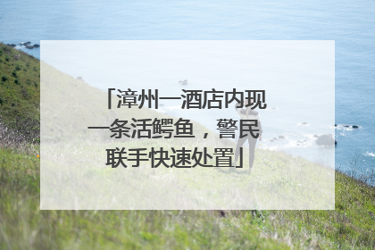 漳州一酒店内现一条活鳄鱼，警民联手快速处置