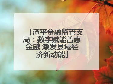 漳平金融监管支局：数字赋能普惠金融 激发县域经济新动能