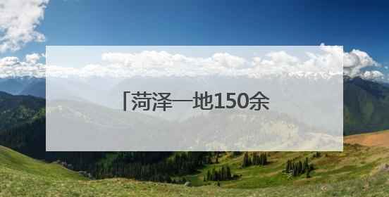 菏泽一地150余亩百合花海上线