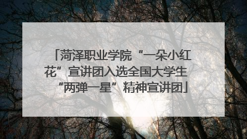 菏泽职业学院“一朵小红花”宣讲团入选全国大学生“两弹一星”精神宣讲团