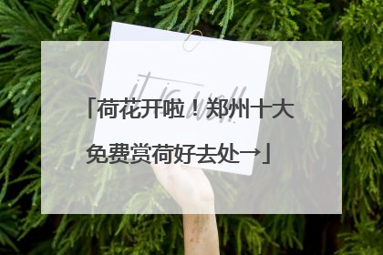 荷花开啦！郑州十大免费赏荷好去处→