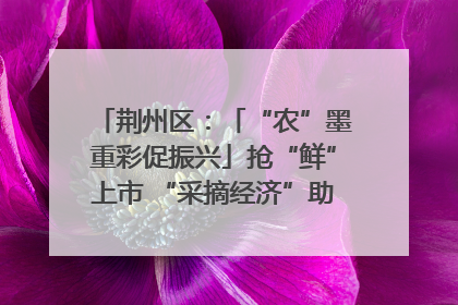 荆州区：「“农”墨重彩促振兴」抢“鲜”上市 “采摘经济”助农“甜蜜增收”