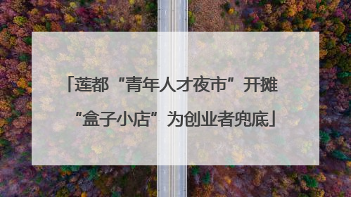 莲都“青年人才夜市”开摊 “盒子小店”为创业者兜底