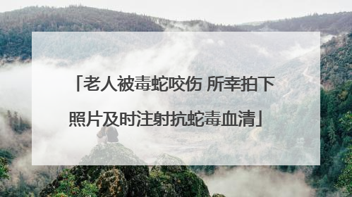老人被毒蛇咬伤 所幸拍下照片及时注射抗蛇毒血清