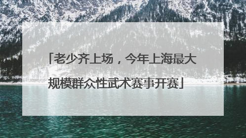 老少齐上场，今年上海最大规模群众性武术赛事开赛