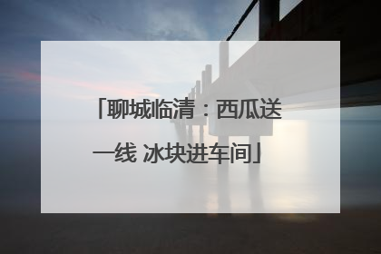 聊城临清：西瓜送一线 冰块进车间